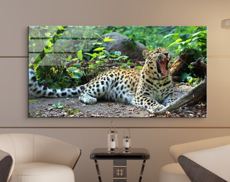 Harika Desenli Leopar CF0603