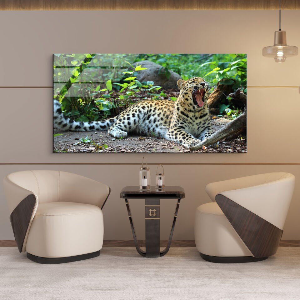 Harika Desenli Leopar CF0603