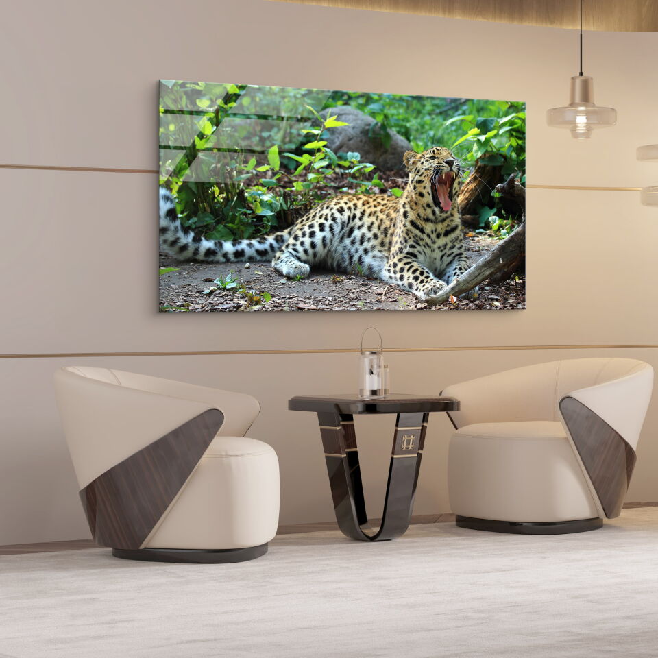Harika Desenli Leopar CF0603