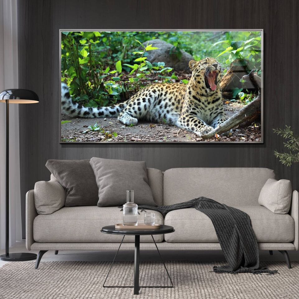 Harika Desenli Leopar CF0603
