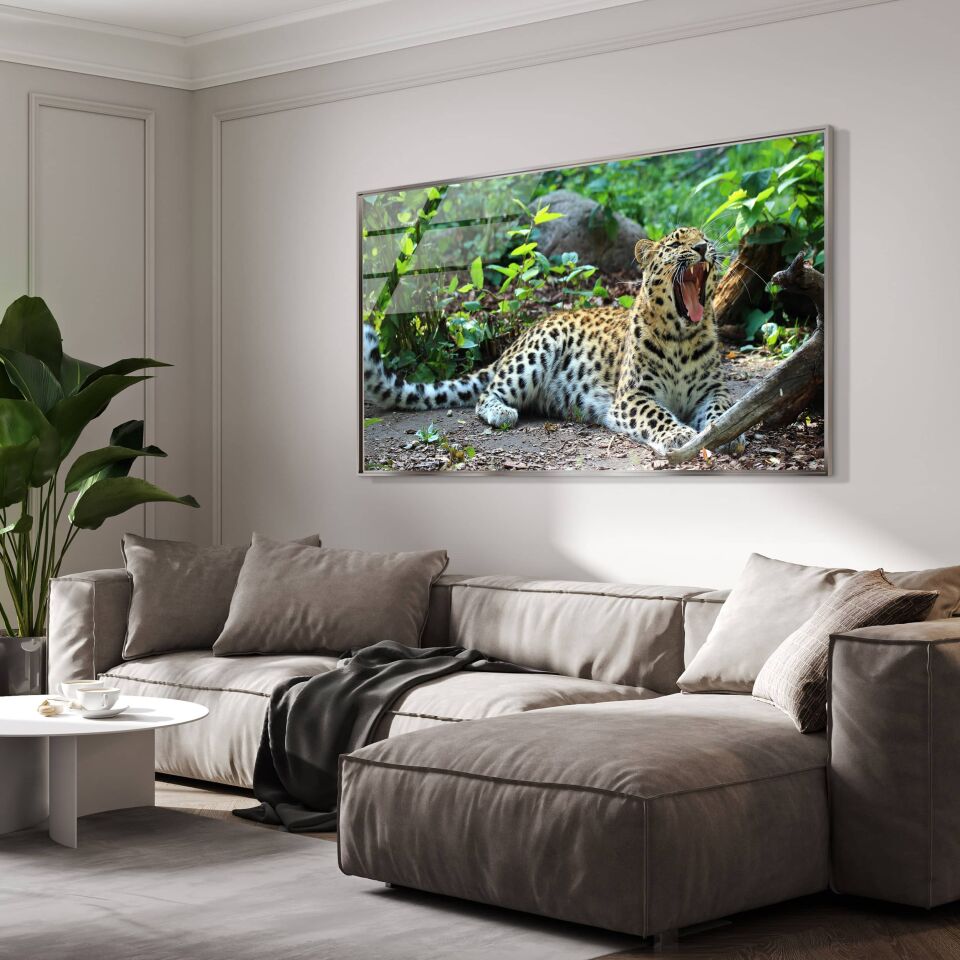 Harika Desenli Leopar CF0603